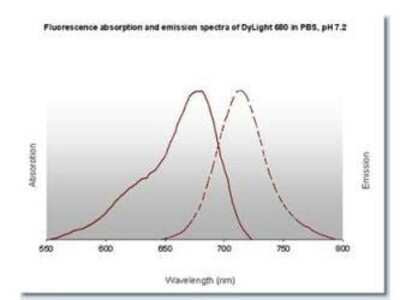 Fluorophore-linked immunosorbent assay: Rabbit anti-Mouse IgG2a Heavy Chain Secondary Antibody [DyLight 680] [NBP1-72909] - Fluorescence absorption and emission spectra of Dylight 680 in PBS, pH 7.2.